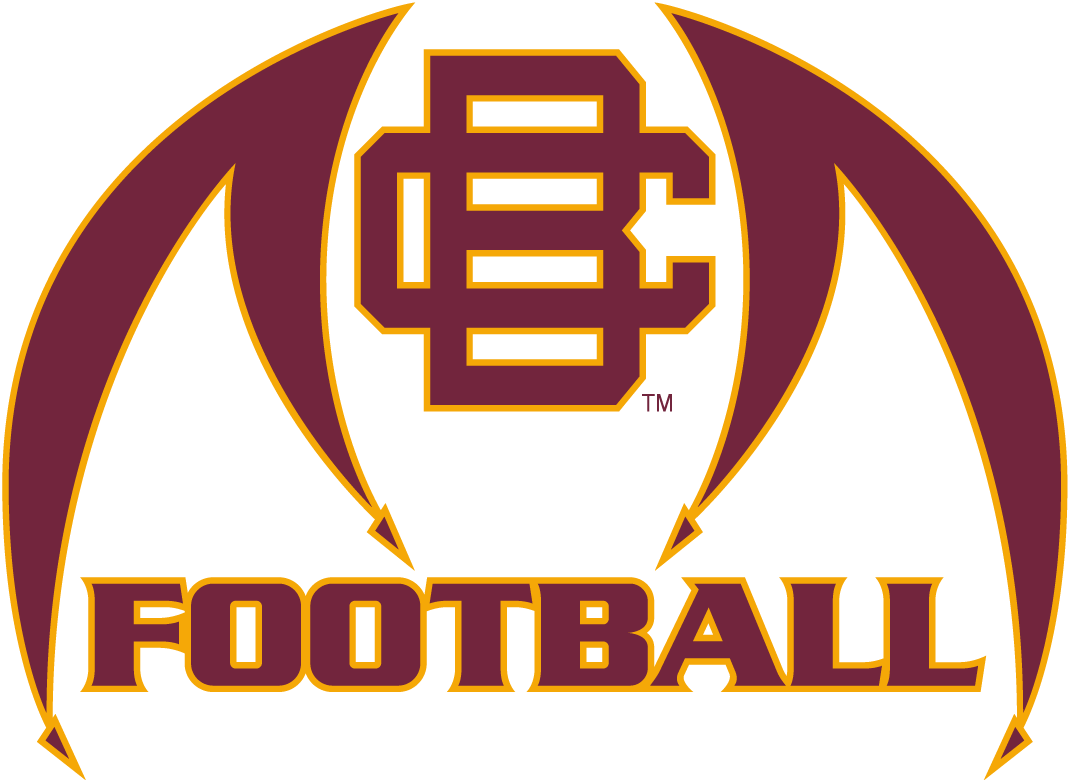 Bethune-Cookman Wildcats 2010-2015 Misc Logo iron on transfers for T-shirts